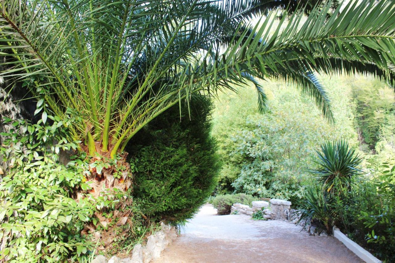 Le Mas Des Alizes La Colle-sur-Loup Bagian luar foto